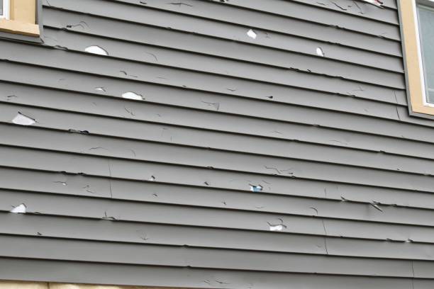 Best Residential Vinyl Siding Installation  in Reno, TX